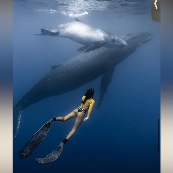 Abysse Pam Rash-Guard Shell ✨ NEW ✨ 🏄🏻‍♀️🏄🏻‍♀️ - Picture 6 of 10